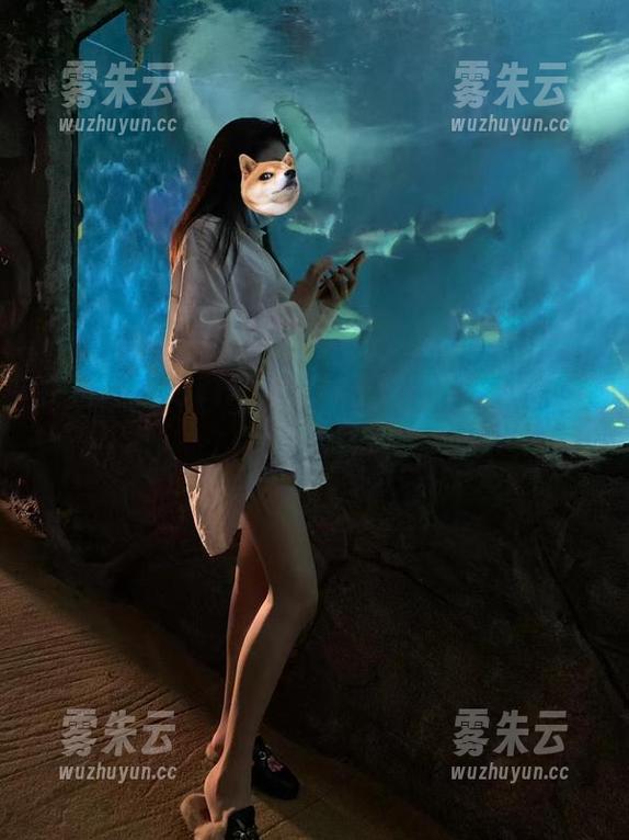 微密圈 - 呼叫网盘！林子琳喵的蕾丝合集，你敢下载吗？